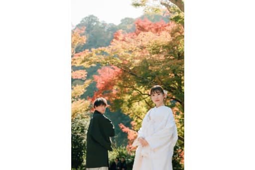 訪れた時期がちょうど木々の色づく季節