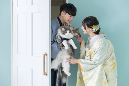 ネコちゃん達の登場です！