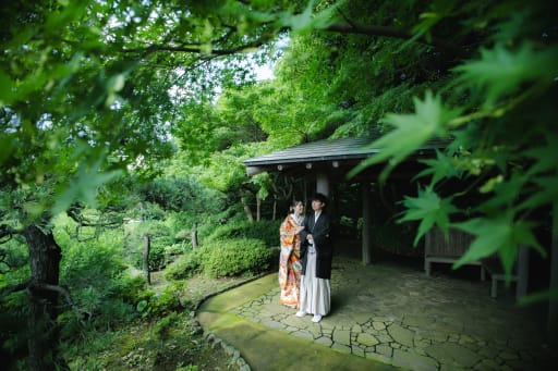 もみじを入れて