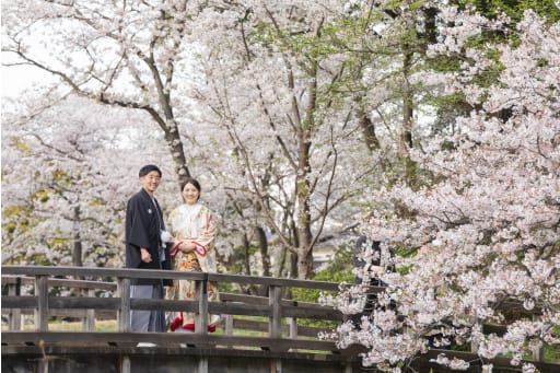 見渡す限り桜！