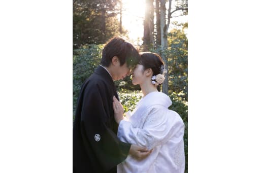 光に照らされて