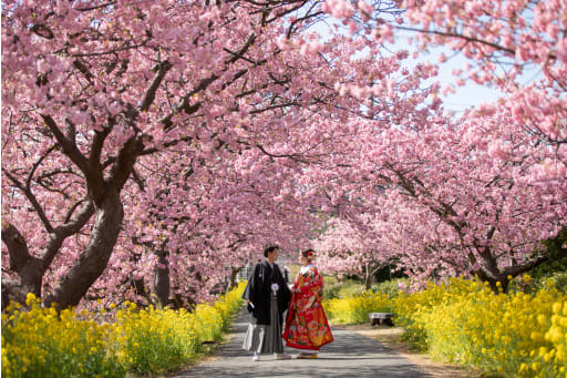 お花との撮影は気分も上がりますよね＊