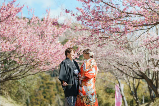 色鮮やかな河津桜の前で