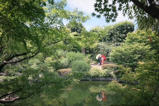 緑広がる日本庭園