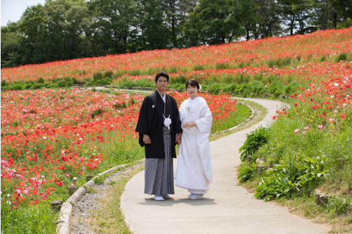 満開のポピーの花畑をバックにお散歩シーンを撮影させていただきました！！