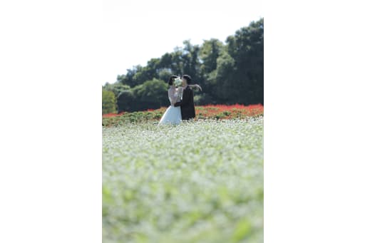 時期によって異なる花畑