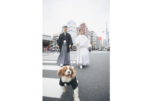 浅草の街をお散歩