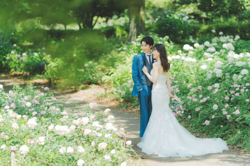 昭和記念公園の紫陽花1