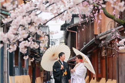 祇園の桜