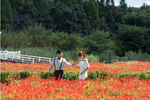手を取り合って