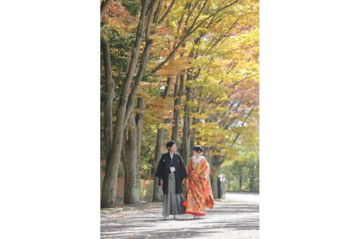 木漏れ日が差し込む紅葉の並木道