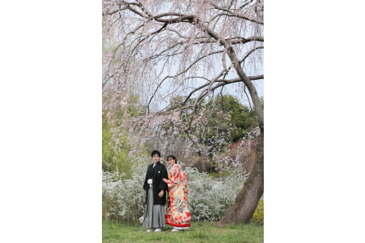 大きな枝垂れ桜の下でぎゅっと可愛らしい雰囲気で！！