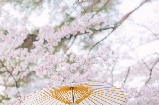 傘とか花びらとか