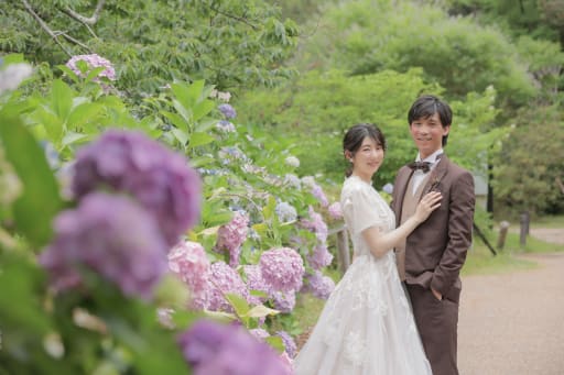 紫陽花も見頃でした。