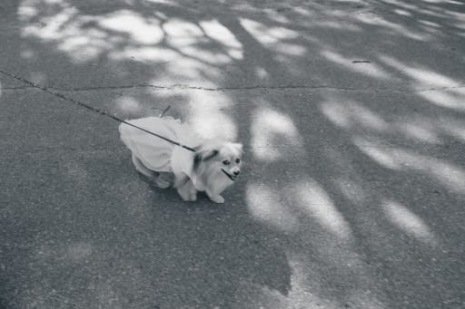 目が合ってます👀