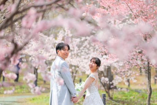 梅林から少し歩くと、今度は桜が咲いていました！