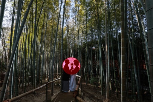 ロマンチックに