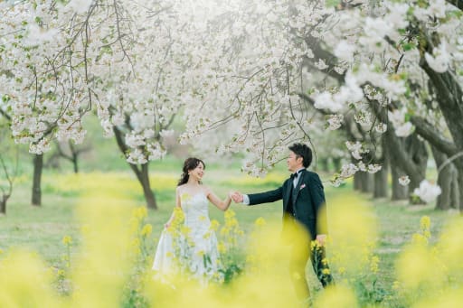 菜の花と桜