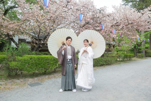 桜並木