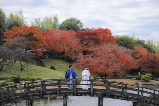 紅葉がとても綺麗なロケーション