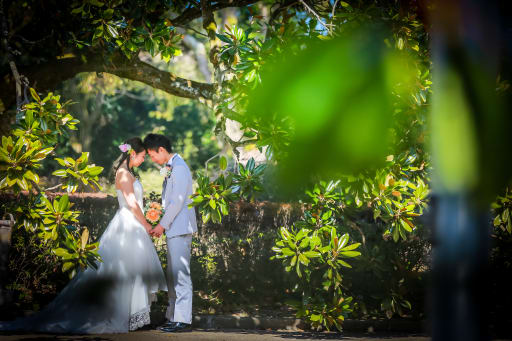 自然な雰囲気を満喫！