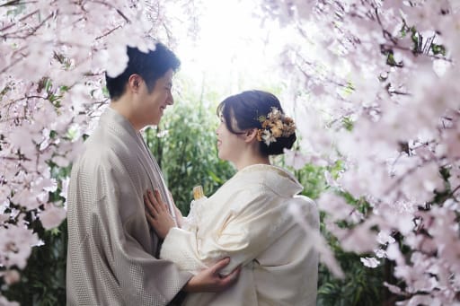 逆光×桜