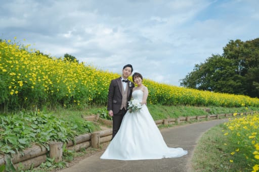 満開のコスモス