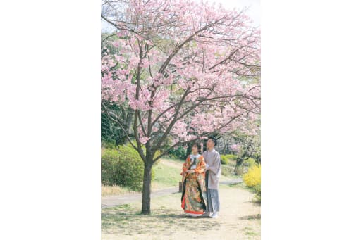 桜を見つめて