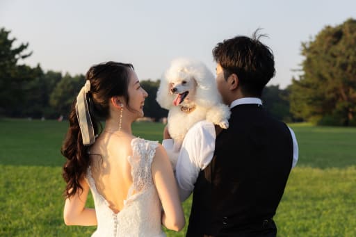 夕日に当たって