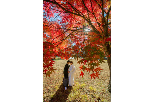 紅葉に囲まれて。