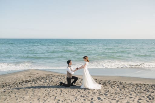 プロポースの再現を