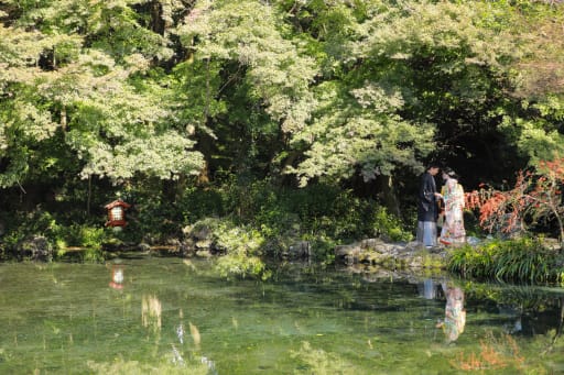 枠玉池は富士山の湧水が出る澄み切った水