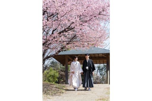 河津桜