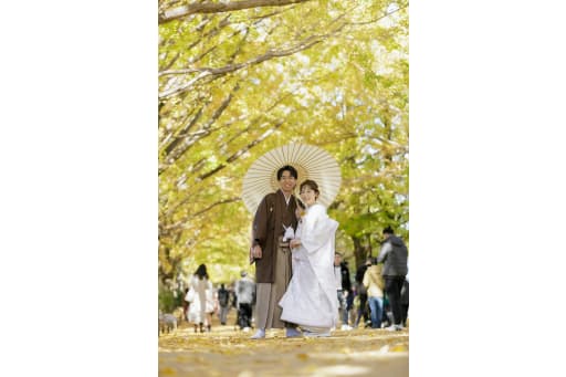 銀杏並木で番傘を持って