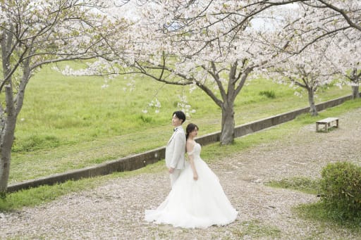 桜の花びらが絨毯のようでした