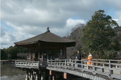 広い景色を入れて