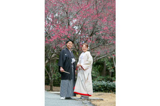紅梅がとても綺麗な嵐山
