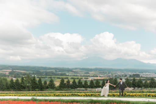 夏の時期ならでは鮮やかな花畑