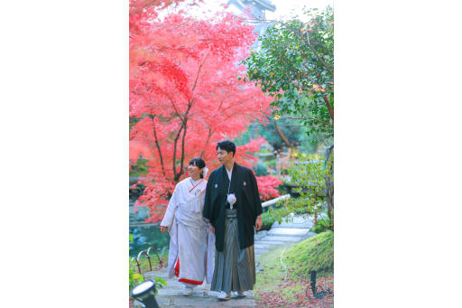 2人仲良くお散歩風景