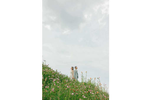 アカツメクサがたくさん！