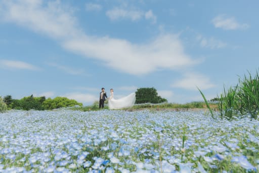 昭和記念公園とスタジオでの撮影3