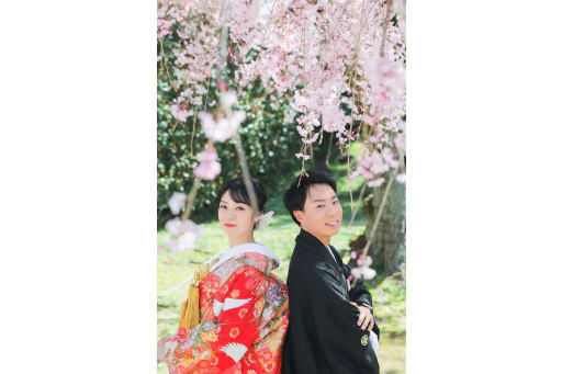 桜の下で