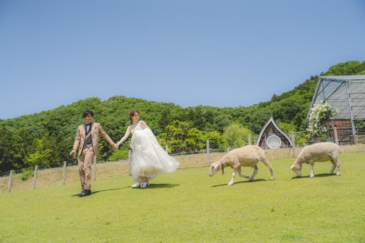 新郎様新婦様の後ろを歩く２匹の羊たち。 一列に並んだ姿がすごく可愛らしいですね！