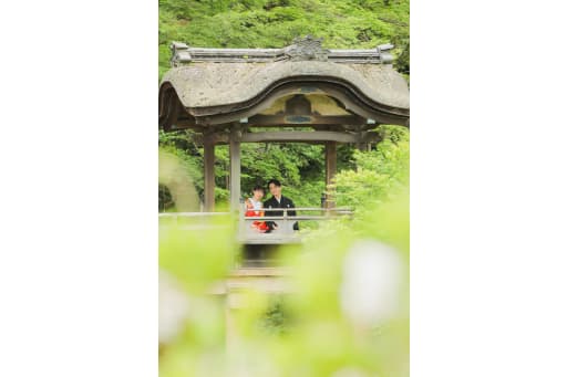 幻想的なフォト