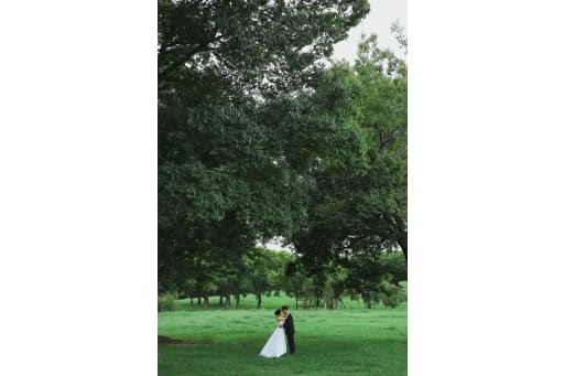 壮大な世界観でまるで別世界🌟