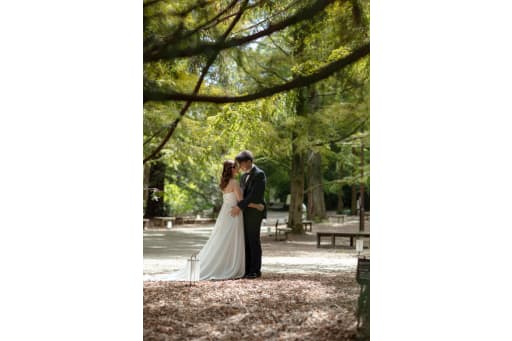 木陰からのロマンティックな雰囲気