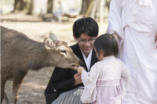 鹿との触れ合い