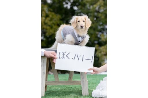 ハリーも一緒に♡