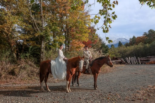 素敵なスポット