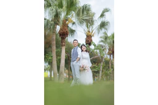 南国植物とも一緒に